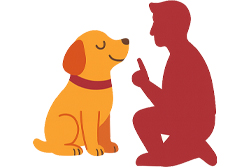 Residencia canina Valencia