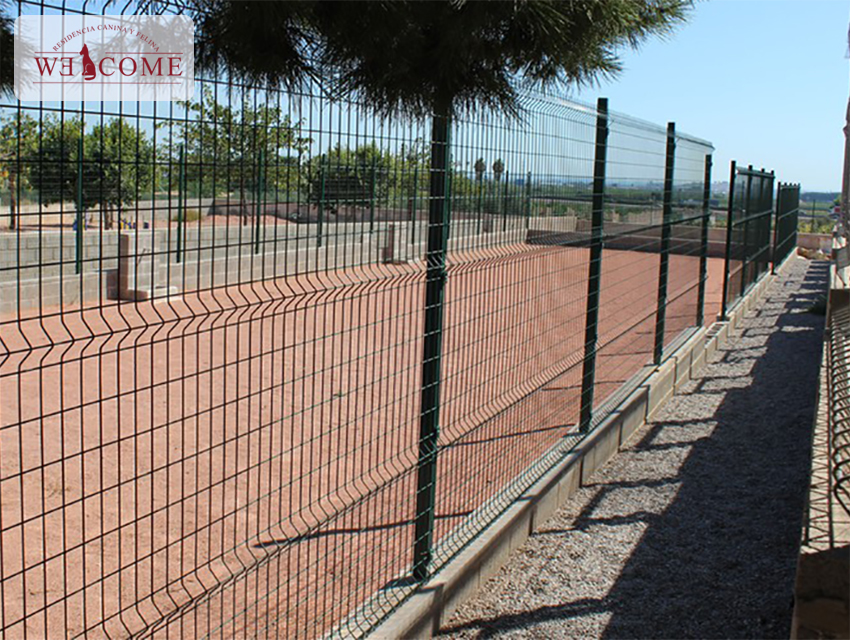 residencia canina welcome, residencias para mascotas en Rafelbunyol